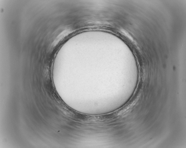 X0000088171259200706051107