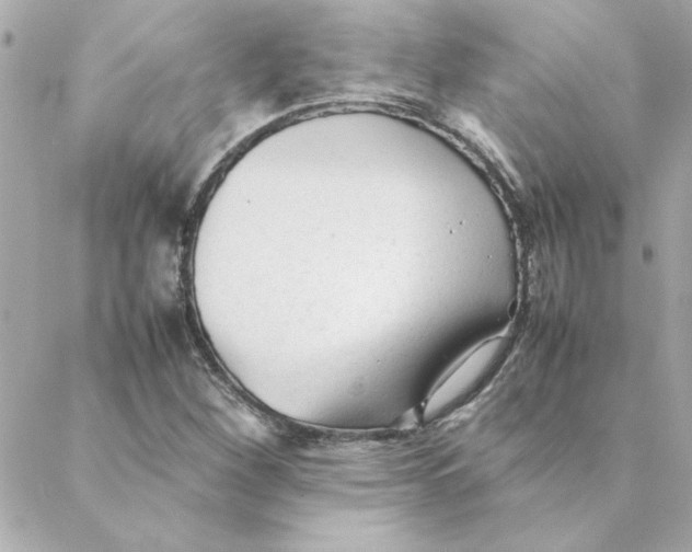 X0000088171260200706051107