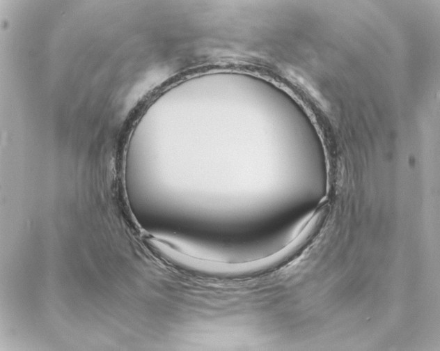 X0000088171261200706051107