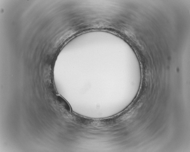 X0000088171265200706051107