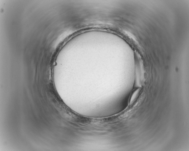 X0000088171267200706051107