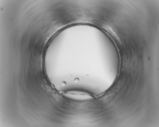 X0000088171268200706051107