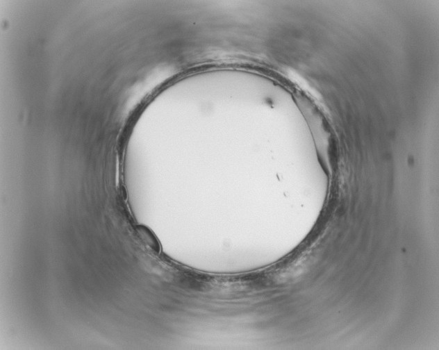 X0000088171269200706051107