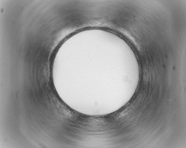 X0000088171270200706051107