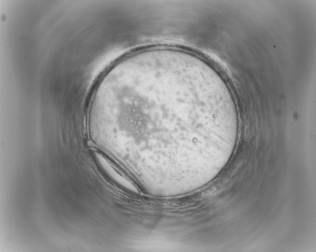 X0000088171271200706051107