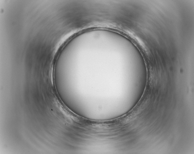 X0000088171272200706051107