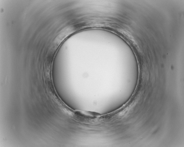 X0000088171273200706051107