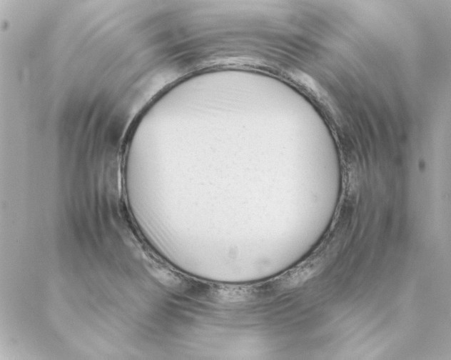 X0000088171274200706051107