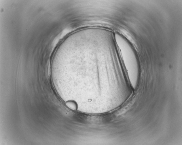 X0000088171275200706051107