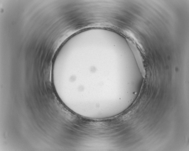 X0000088171276200706051107