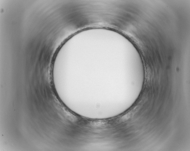 X0000088171278200706051107