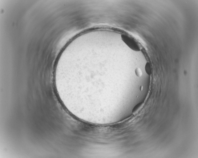 X0000088171279200706051107