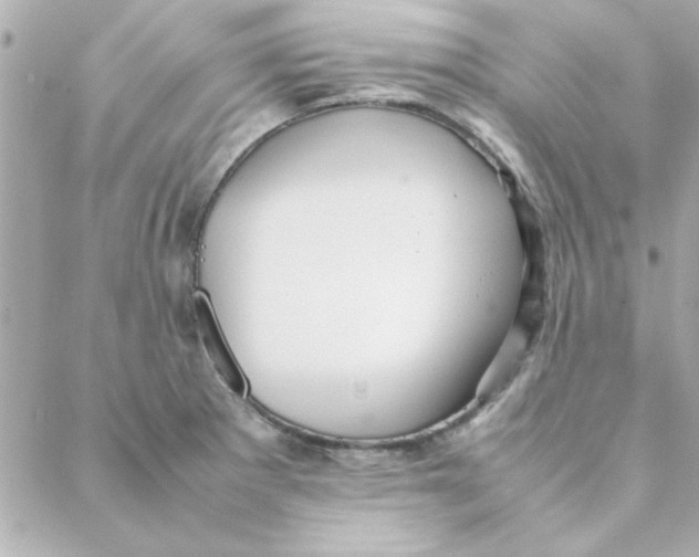 X0000088171281200706051107