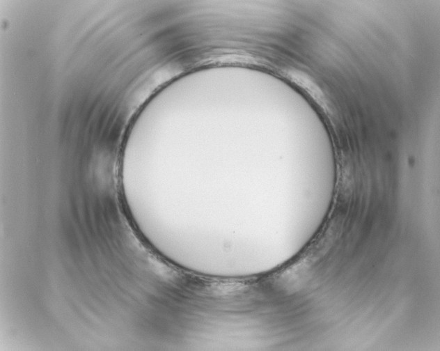 X0000088171282200706051107