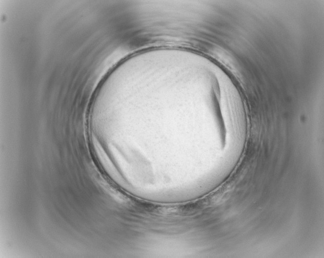 X0000088171283200706051107