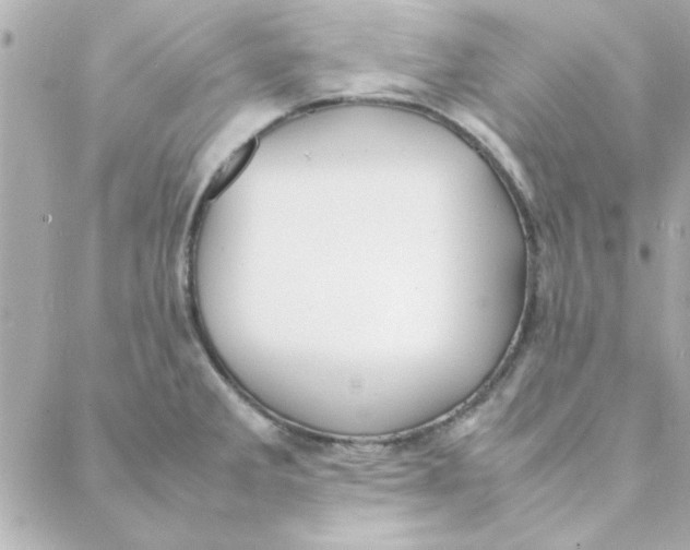 X0000088171285200706051107