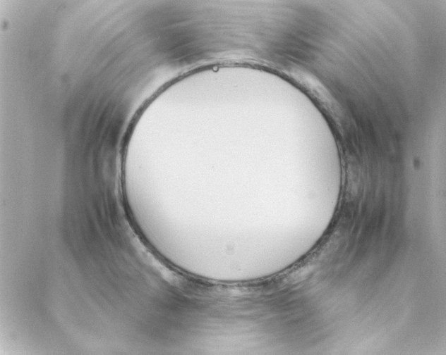 X0000088171286200706051107