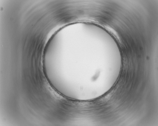 X0000088171288200706051107