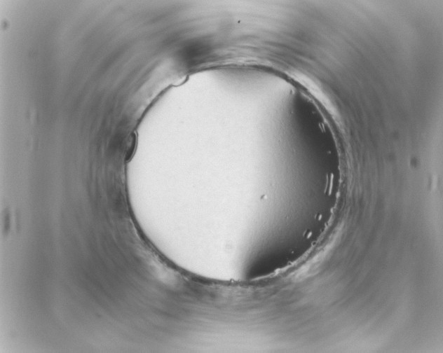 X0000088171289200706051107