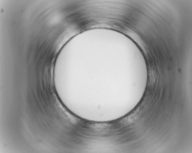 X0000088171290200706051107