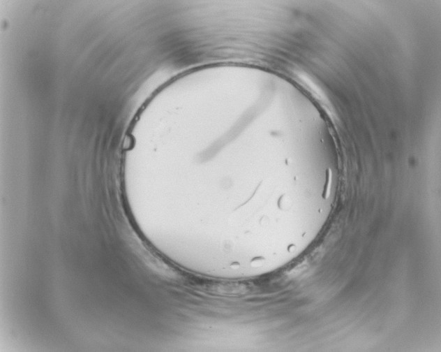 X0000088171291200706051107