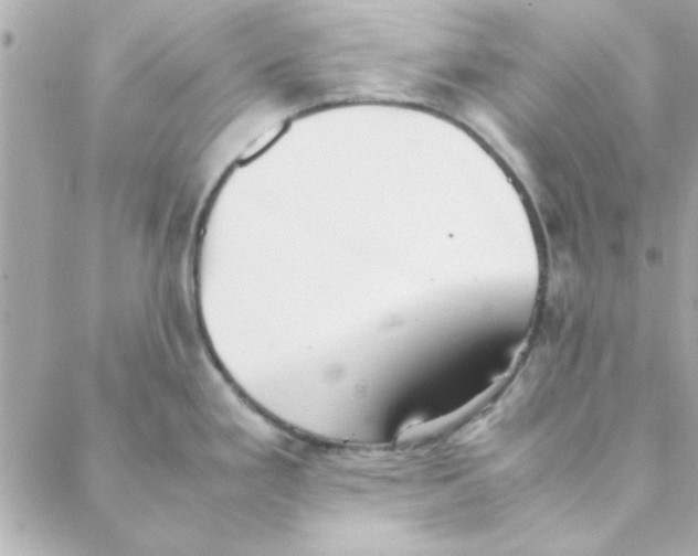 X0000088171293200706051107