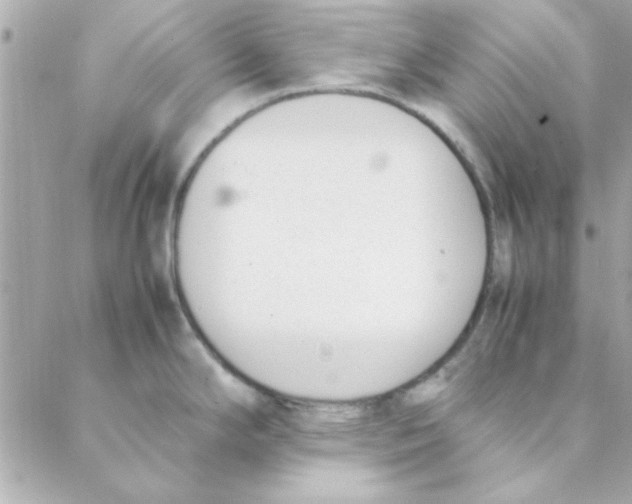 X0000088171294200706051107