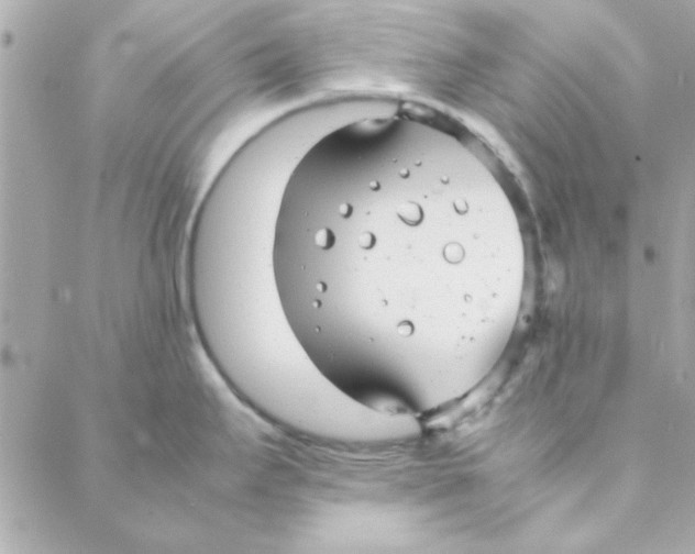 X0000088171295200706051107