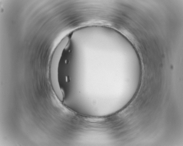 X0000088171296200706051107