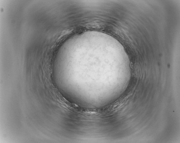 X0000088171297200706051106