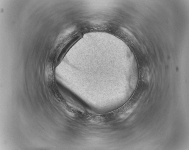 X0000088171298200706051106