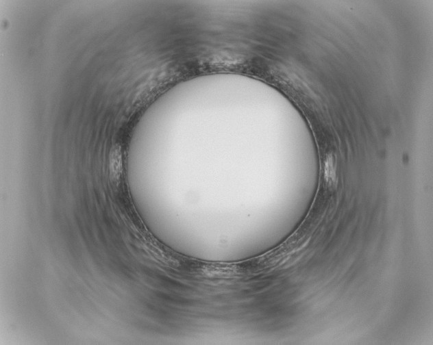 X0000088171299200706051106