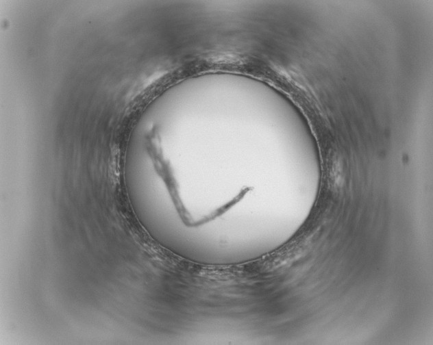 X0000088171301200706051106