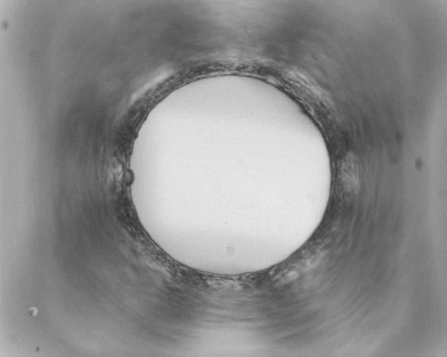 X0000088171302200706051106