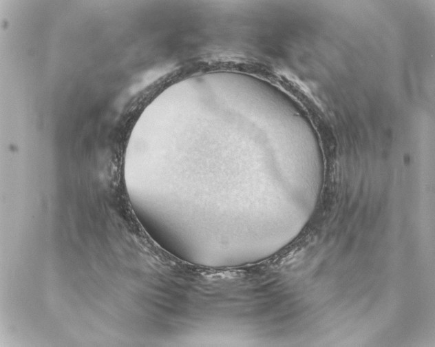 X0000088171303200706051106