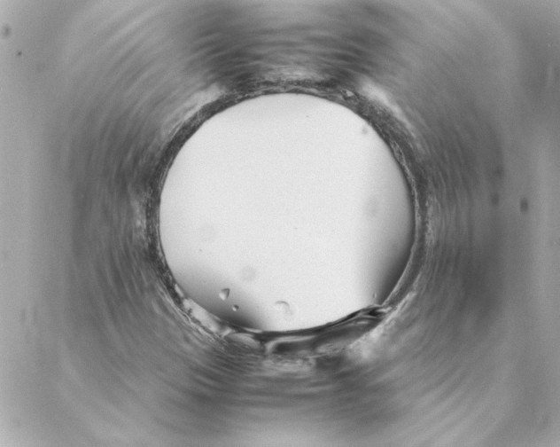 X0000088171305200706051106