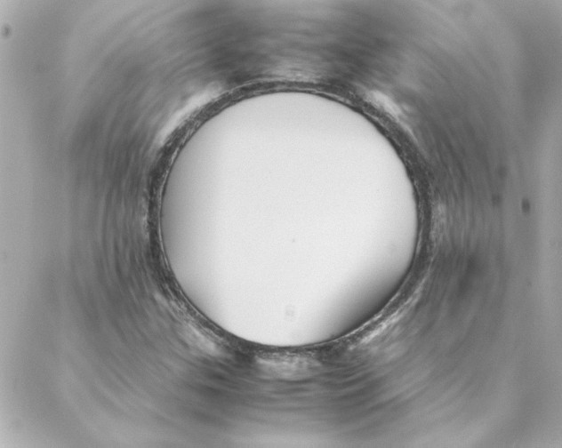 X0000088171307200706051106