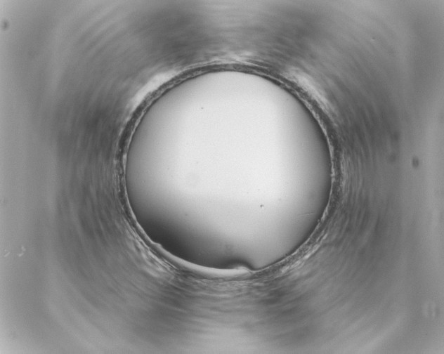 X0000088171308200706051106