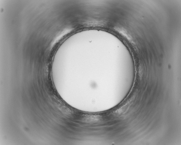 X0000088171309200706051106