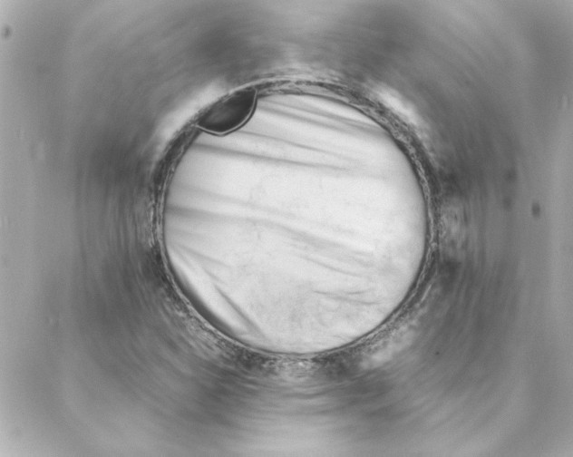 X0000088171310200706051106