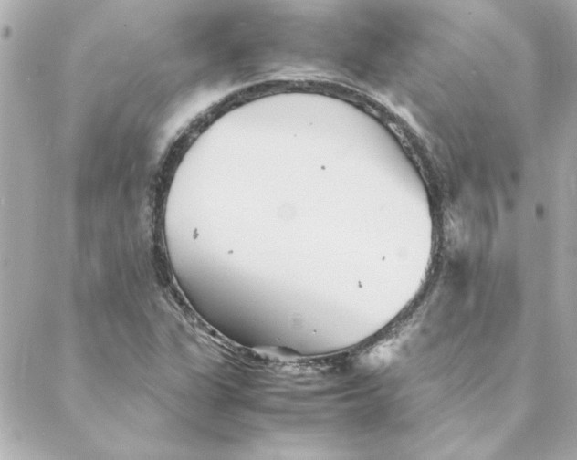 X0000088171311200706051106