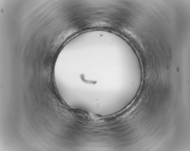 X0000088171313200706051106