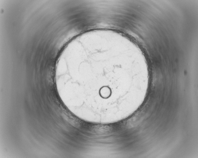 X0000088171314200706051106