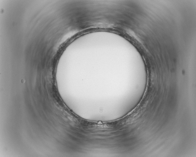 X0000088171315200706051106