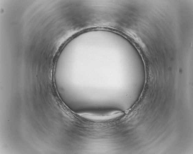 X0000088171316200706051106