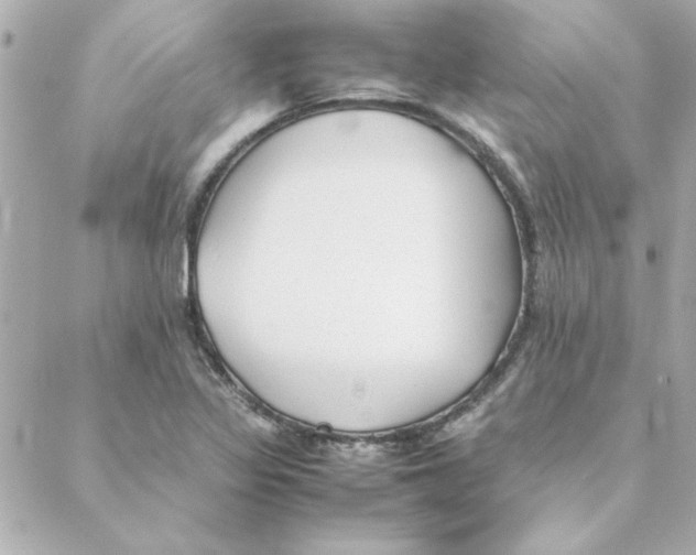 X0000088171317200706051106