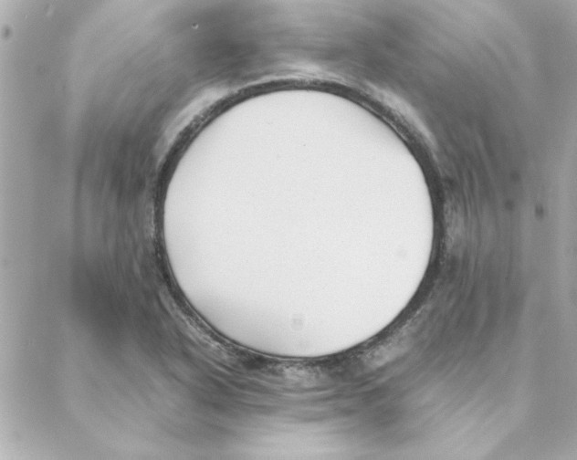 X0000088171318200706051106