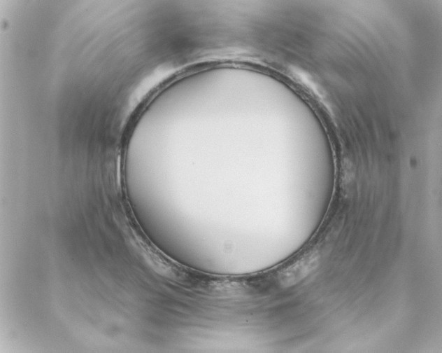 X0000088171320200706051106