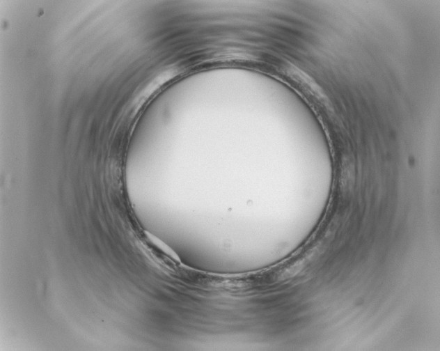 X0000088171321200706051106