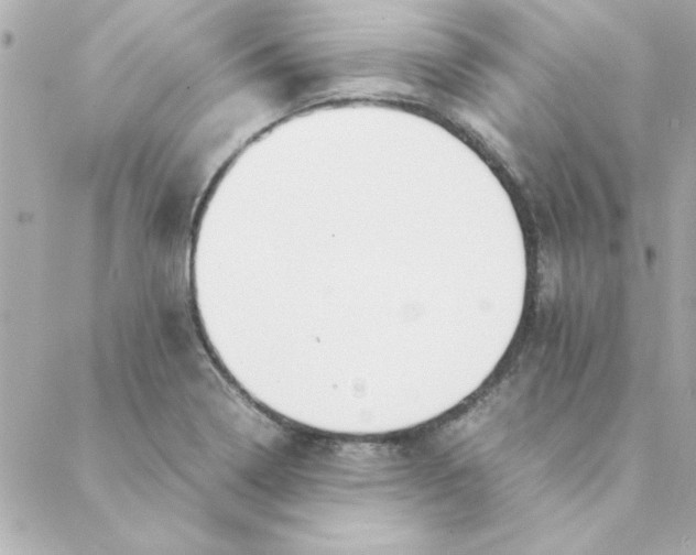 X0000088171322200706051106